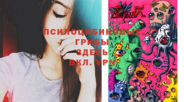 альфа пвп Алексеевка