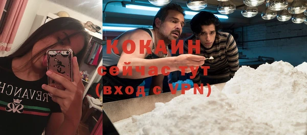 прущие крисы Новокубанск