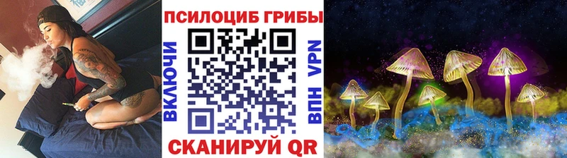 дарнет шоп  Уссурийск  Галлюциногенные грибы MAGIC MUSHROOMS 