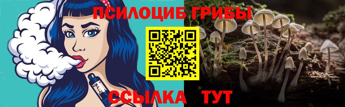 Галлюциногенные грибы Cubensis Уссурийск